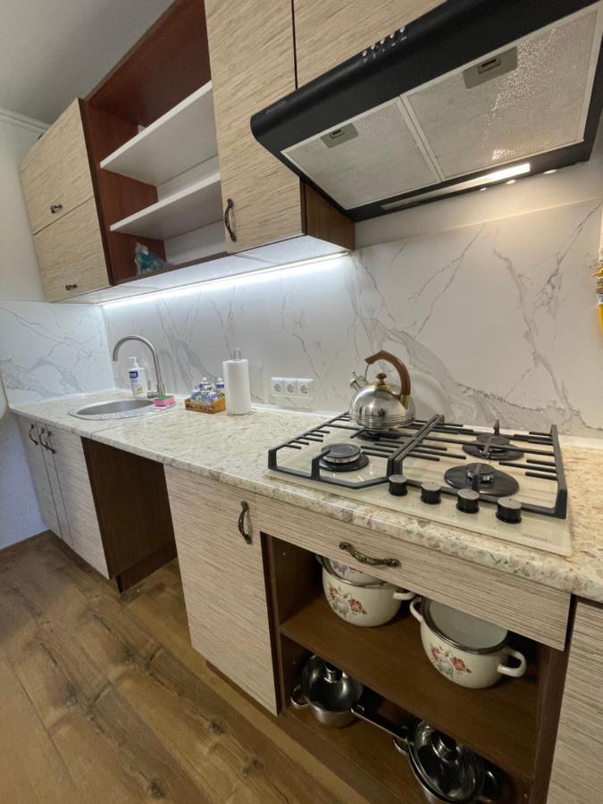 У Михайла Bed & Breakfast Truskaveț Exterior foto